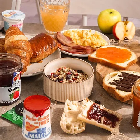 Nord Aeroport 酒店 佩皮尼昂